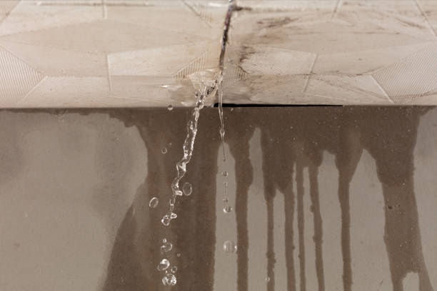 Professional Structural Drying technician working in Eastaboga, AL
